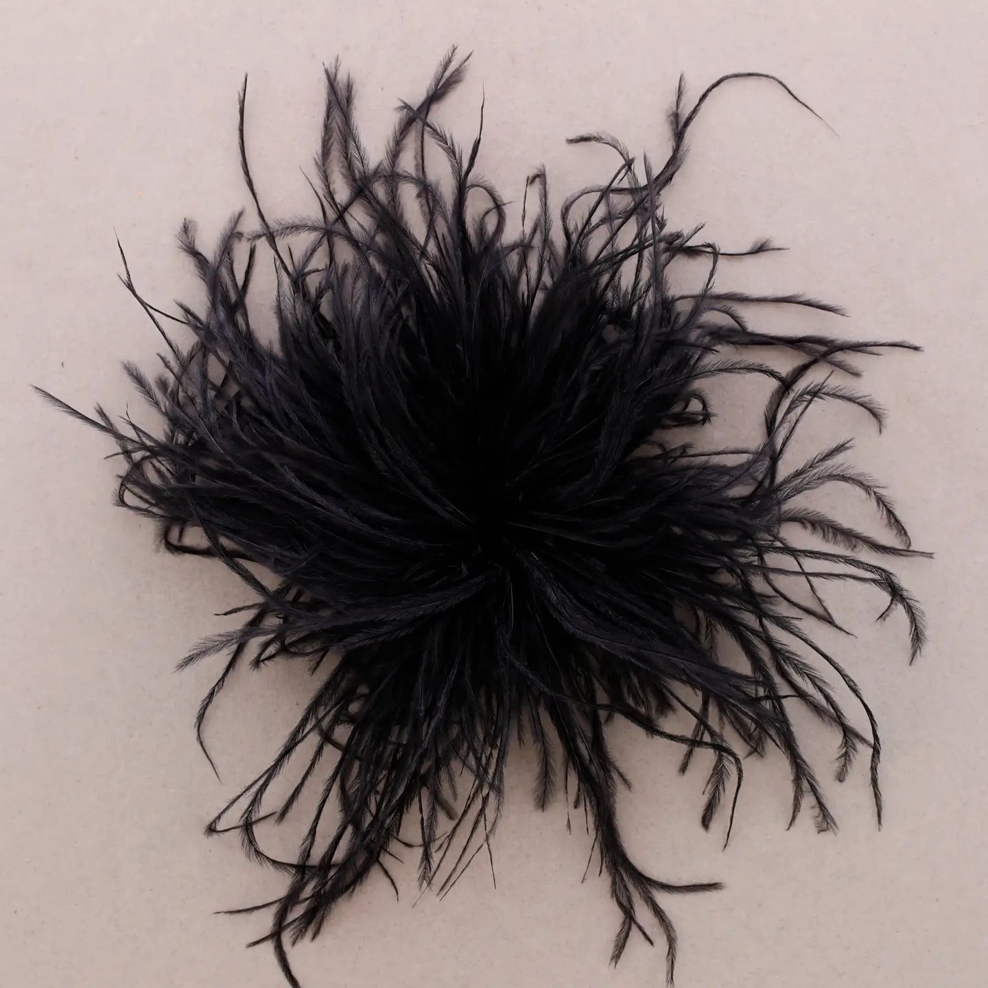 BROCHE A PLUMES