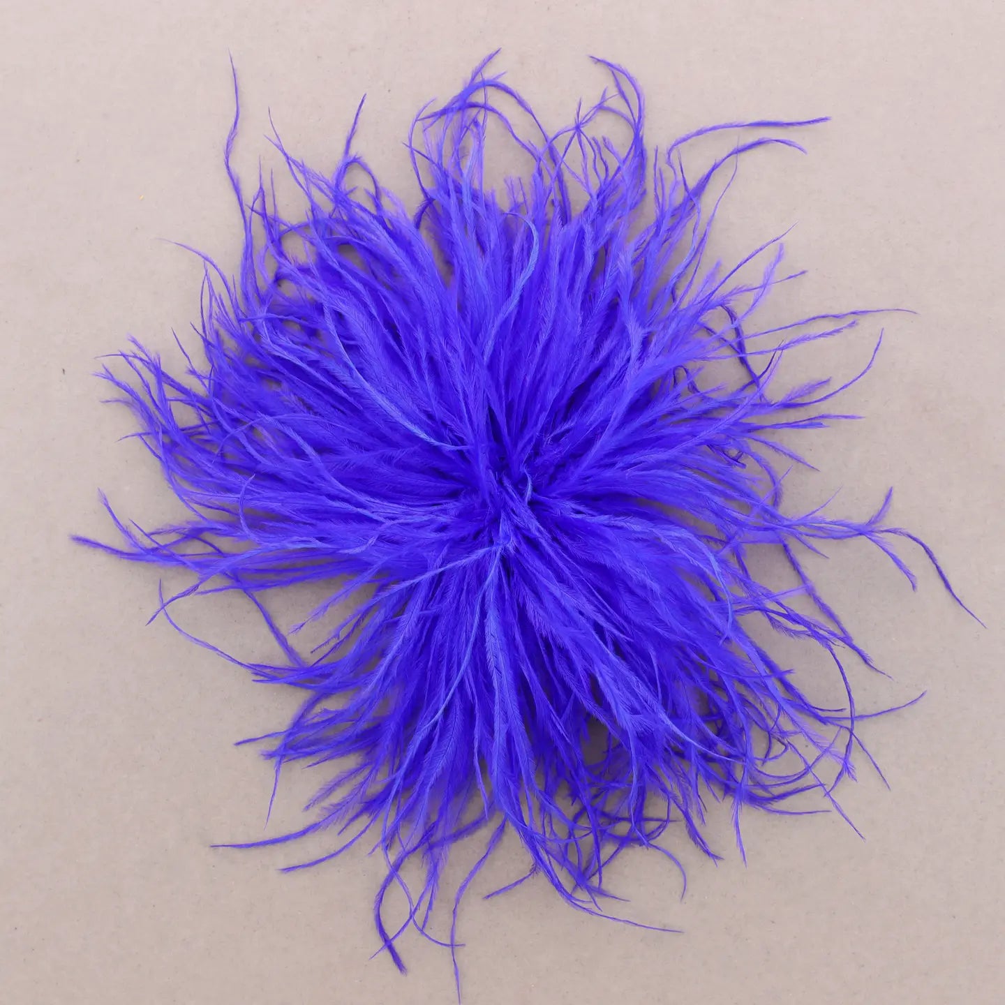 BROCHE A PLUMES